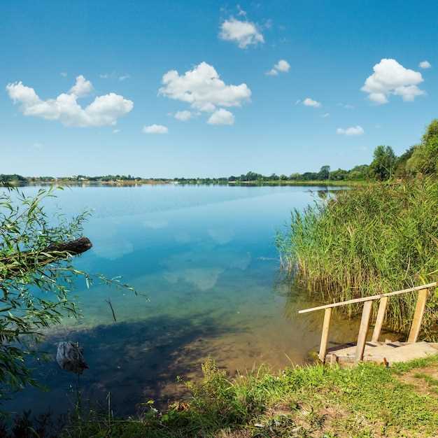 Флора региона